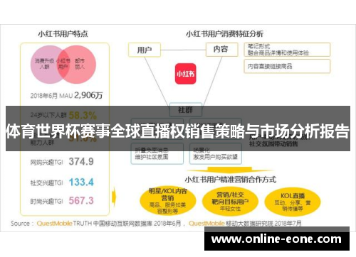 体育世界杯赛事全球直播权销售策略与市场分析报告