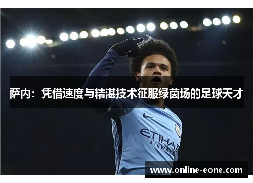 萨内：凭借速度与精湛技术征服绿茵场的足球天才