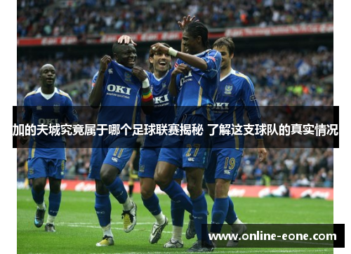 加的夫城究竟属于哪个足球联赛揭秘 了解这支球队的真实情况