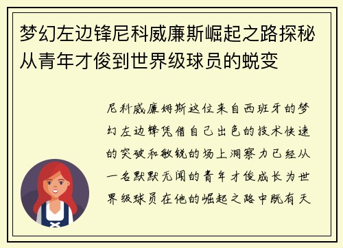 梦幻左边锋尼科威廉斯崛起之路探秘从青年才俊到世界级球员的蜕变